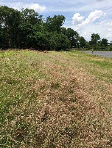 Neely Slave Cemetery