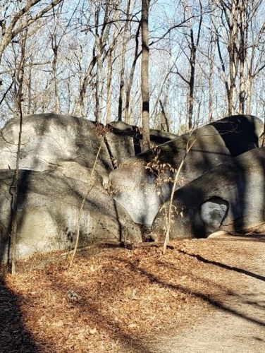 Big Rock Shelter surrounded by trees on a sunny day